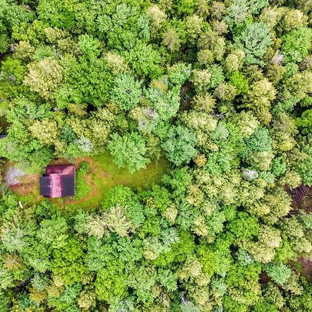 Lost Pond Cabin Schroon Lake Luaran gambar